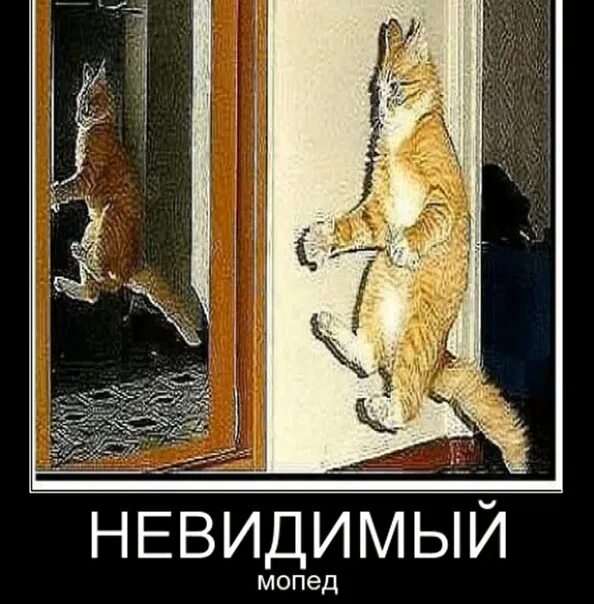 Незаметно увидел