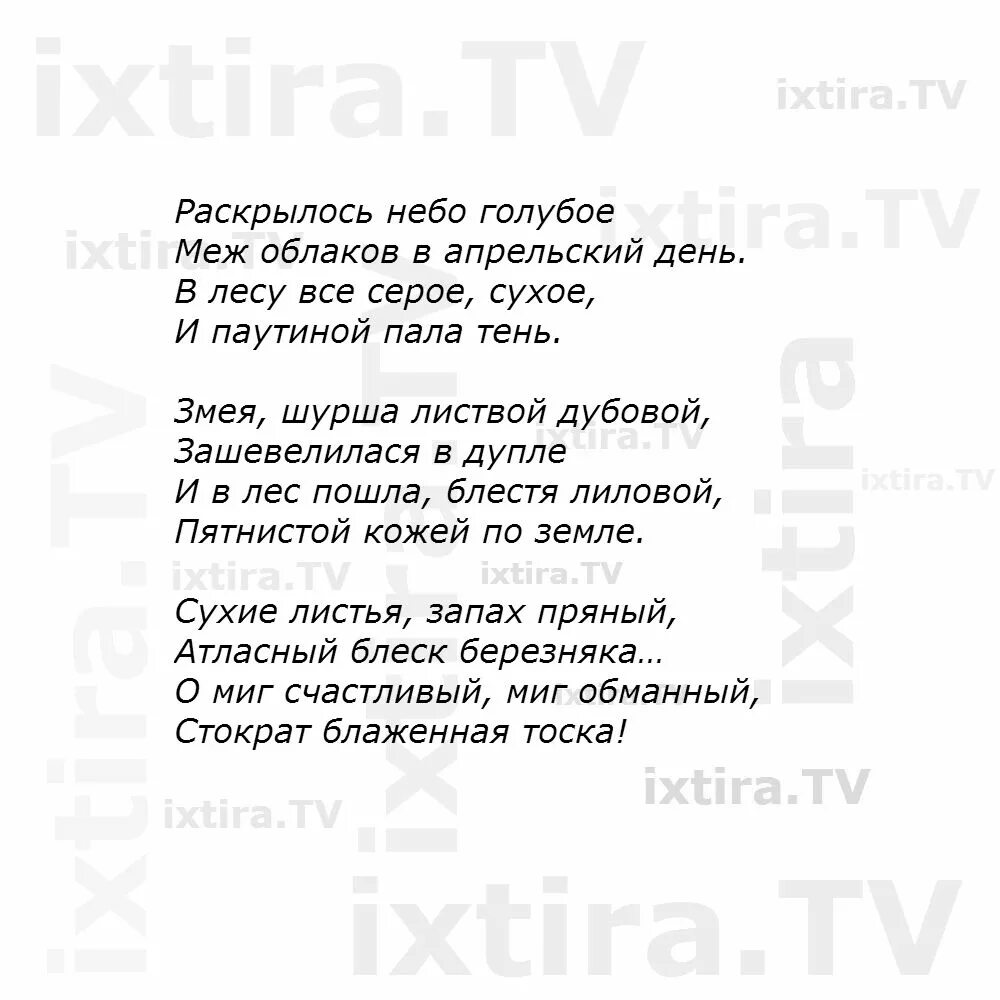 Алиса песня небо голубое. Стих небо голубое. Стих раскрылось небо голубое. Текст песни небо голубое. Небо голубое небо текст.