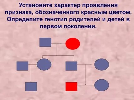 Признаки проявляющиеся в поколении называются