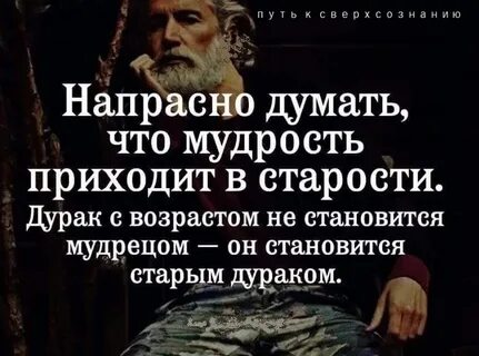 Мудрая глупость