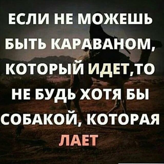 Который останавливается на каждой. Собаки лают Караван идет. Сабаки лаят корован МДКТ. Собака лоет корован идет. Сабака лает Караван идёт.