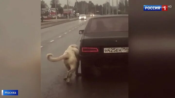 Фриковая машина. Издеваются над машинами. Так машиналар. Издеваются над машинами. Издеваются над машинами.