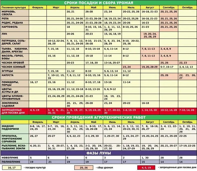 Посевной календарь таблица. Календарь посадки овощей. Таблица посевного календар. Лунный календарь длчпосадки.