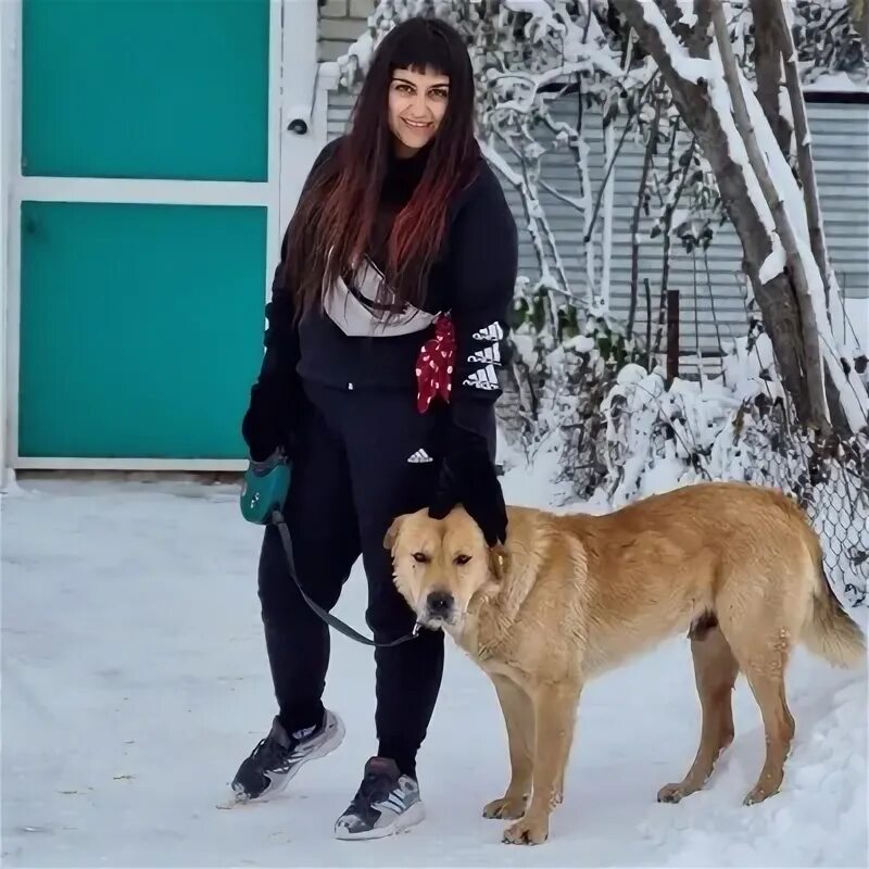 Гаяна гевондян новопавловск. Гаяна гевондян. Гаяна четвероногие друзья. Гевондян гаяна александровна. Гаяна гевондян.