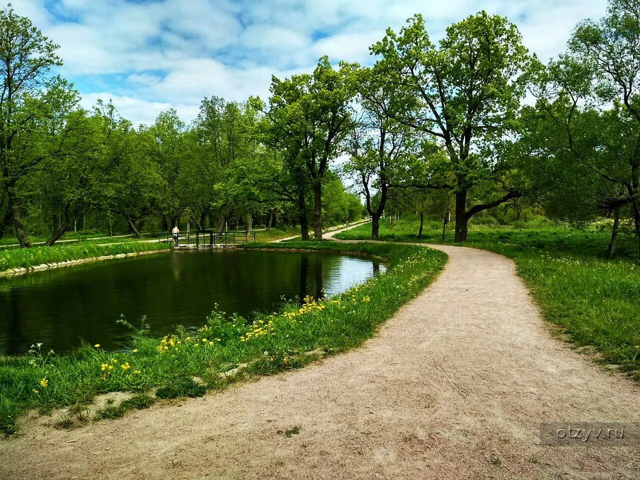 Луговой парк. Луговой (Озерковый) парк. Санкт-Петербург Петергоф Луговой парк Луговой парк. Луговой Озерковый парк в Петергофе. Пруды Лугового парка в Петергофе.