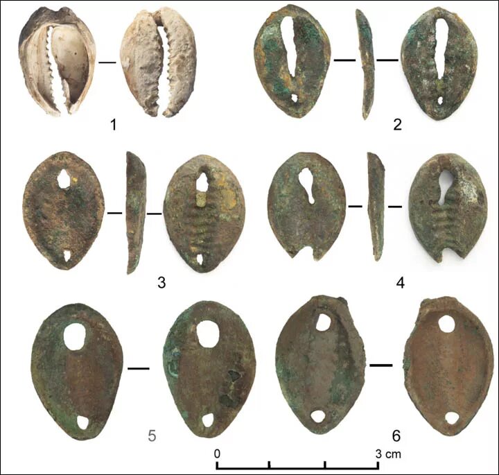 Раковины Каури древние деньги. Древние деньги ракушки Каури. Китайские бронзовые монеты Каури. Раковины Каури в древнем Китае. Первые деньги ракушки