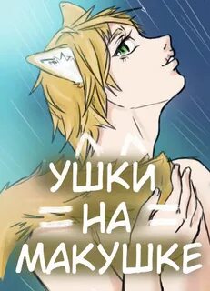 Книга ушки на макушке