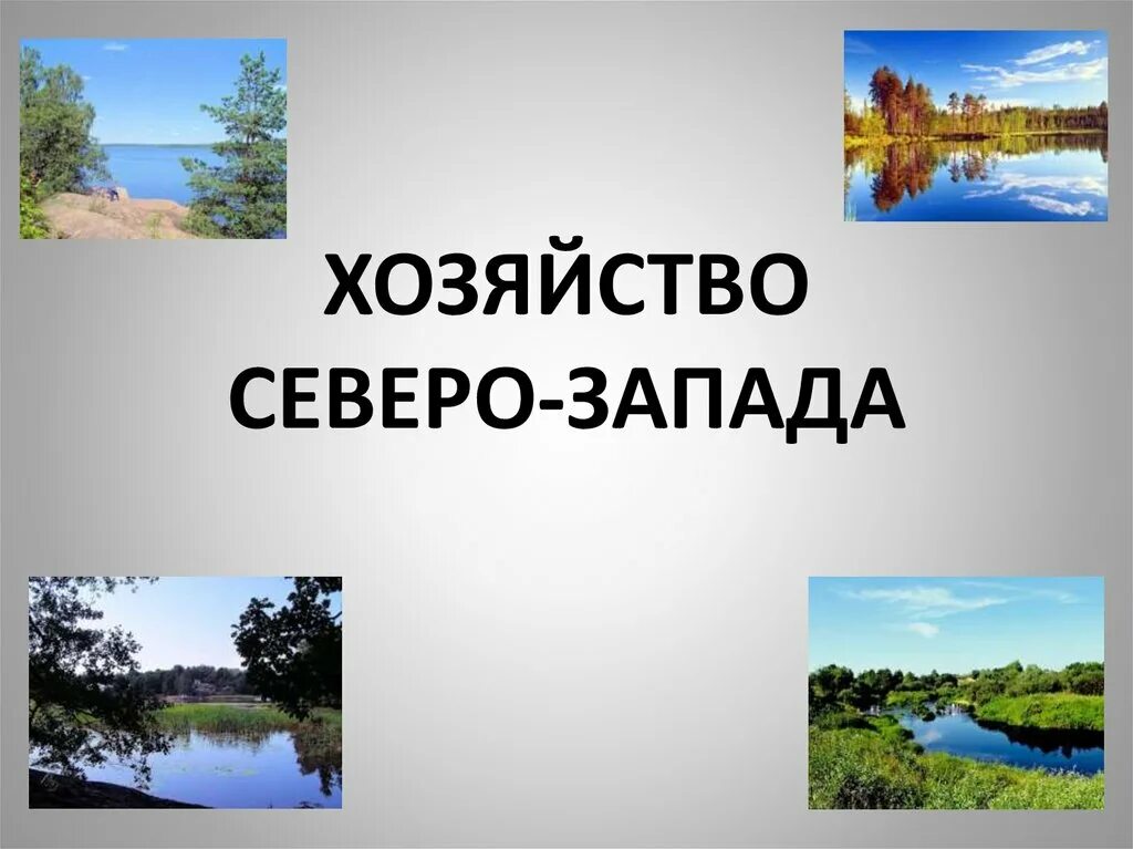 Северо-Западный экономический район сельское хозяйство района. Хозяйство Северо Запада. Хозяйство Северо Запада России. Северо Запад хозяйство района.