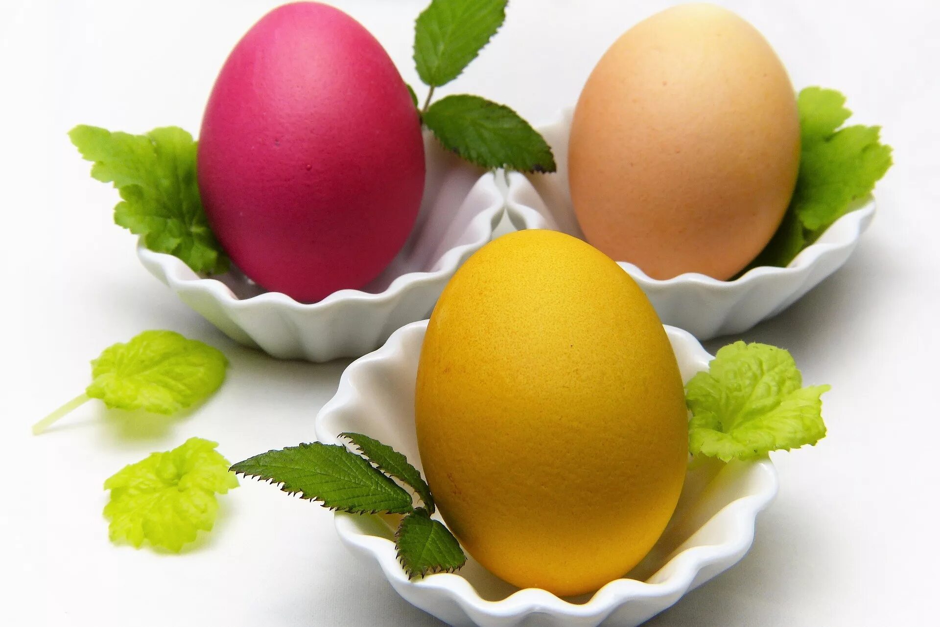 На листике яйцо белое с точками. Подставка под яйца христос воскрес веточки. Чайное яичко. Золотые пасхальные яйца. Striped egg insect.