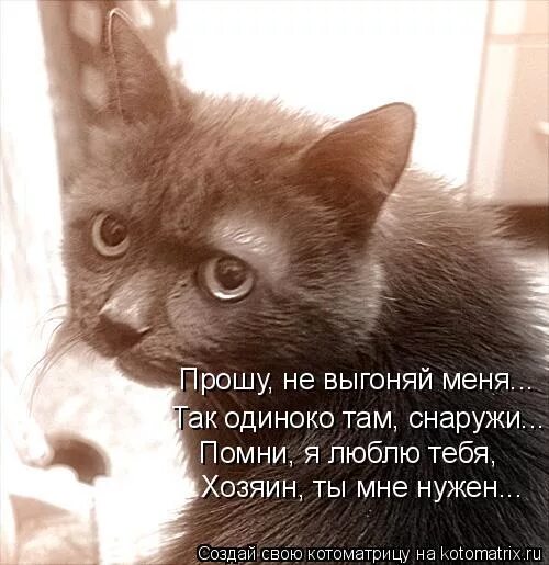 А мне так одиноко. Я люблю тебя, хозяин. так одиноко. я завтра свободен. хоть кусочек.