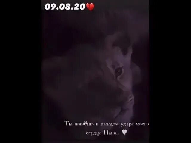 Рингтоны на звонок папа я скучаю