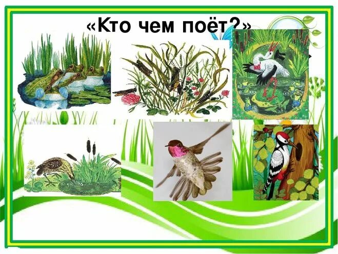 Бианки в. В. Бианки кто чем поет иллюстрации. Кто чем поет читательский дневник 2. "кто чем поет?".