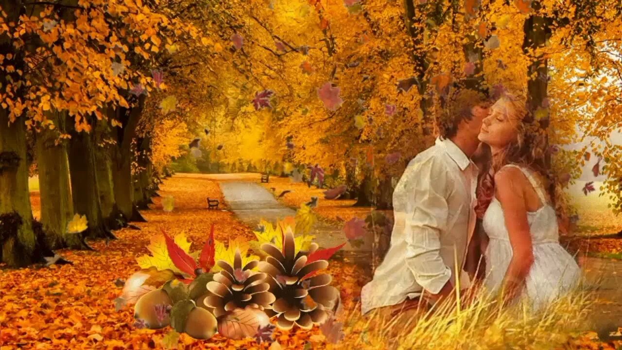 Песня листья кружит ветер. Осенняя любовь. Осенний листопад. Осень любовь. Осенняя встреча.