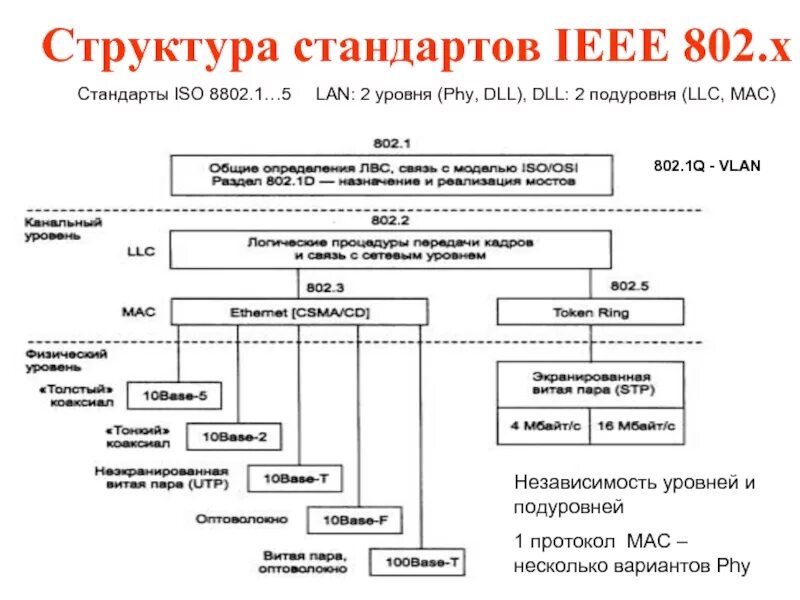 Сеть ieee. Структура стандартов ieee 802. протоколы стандарта ieee. 802.х. структура стандартов ieee 802.3. структура стека протоколов ieee 802.
