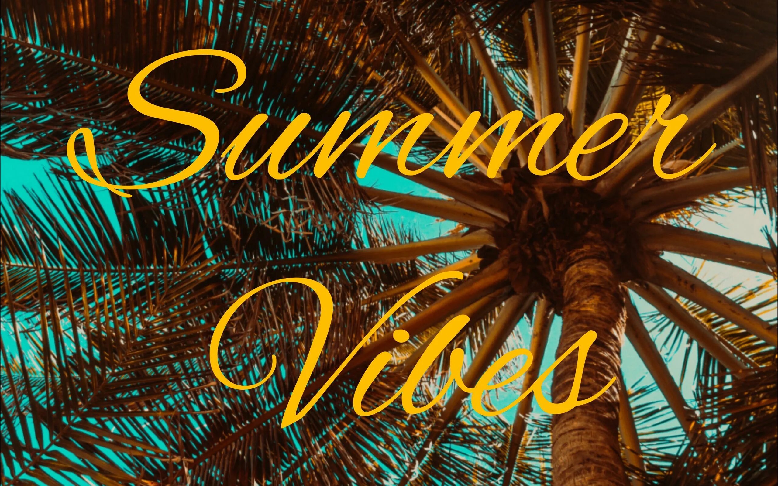 Summer vibes lxfty