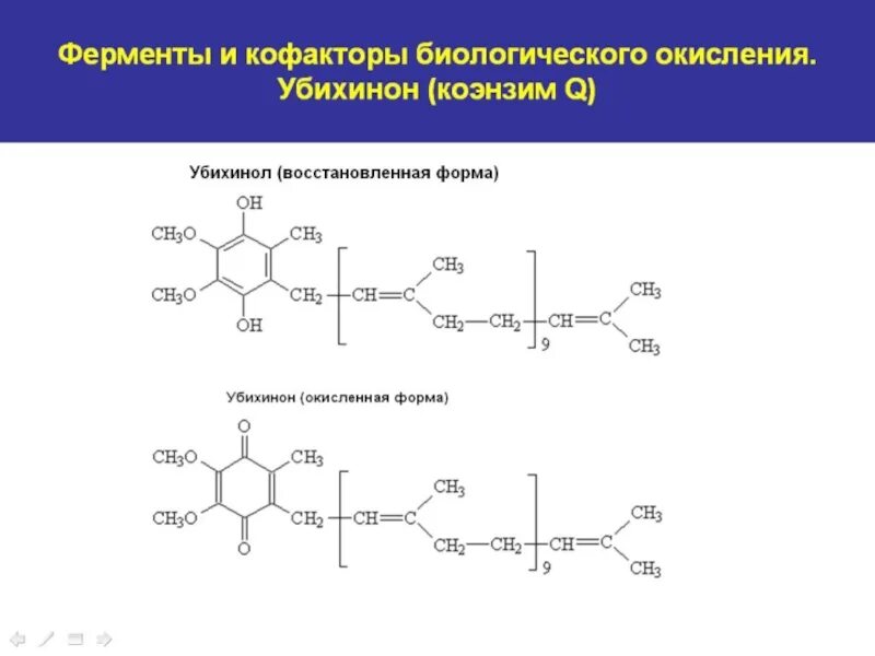 В результате биологического окисления образуется. Окисление убихинона в убихинол. реакции биологического окисления. биологическое окисление биохимия. биологическое окисление значение.