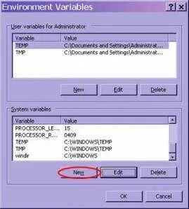 Process environment variables