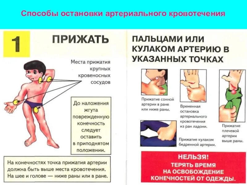 Какую первую помощь при артериальном кровотечении