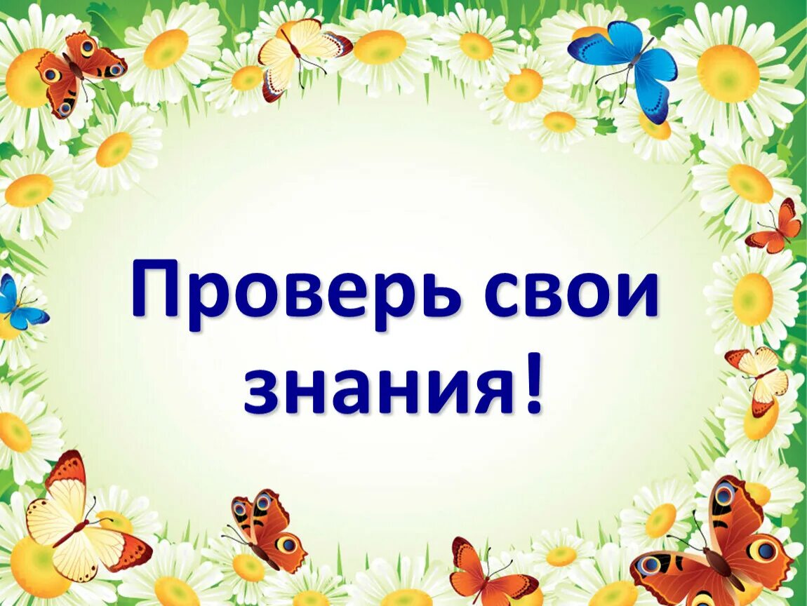 Проверь свои знания. Тесты проверь свои знания. Проверим знания для презентации. Проверь свои знания заставка. Тест про знание