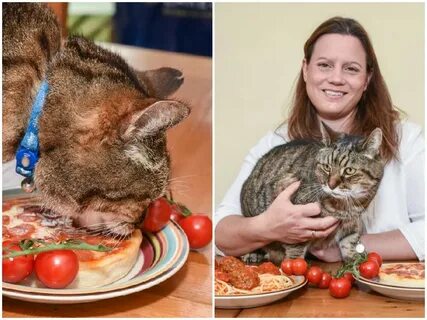 Хозяйка кота