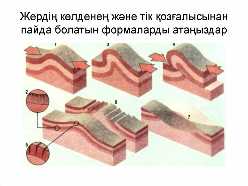 Тектонические деформации горных пород. Деформации горных пород: складчатые и разрывные нарушения. Моноклиналь и флексура. Пликативные деформации горных пород. Изгиб в земной коре