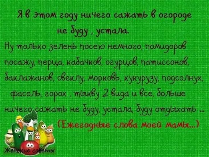 В лето ничего не было. Смешные стихи про огород. Цитаты про огород смешные. Стихи о дачниках и Огородниках смешные. Стихи про дачу и огород.