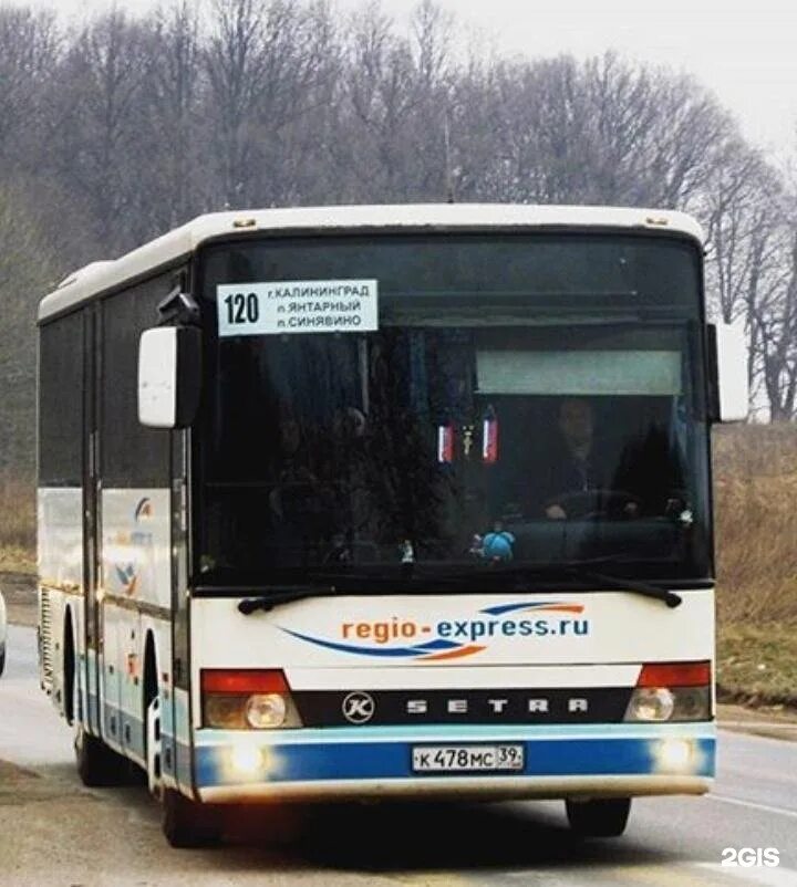 Автобус гусев калининград экспресс. 120 Автобус в Янтарный. Автобус 120 Калининград Янтарный. Автобус до янтарного. Светлогорск-Янтарный Калининградская область автобус.