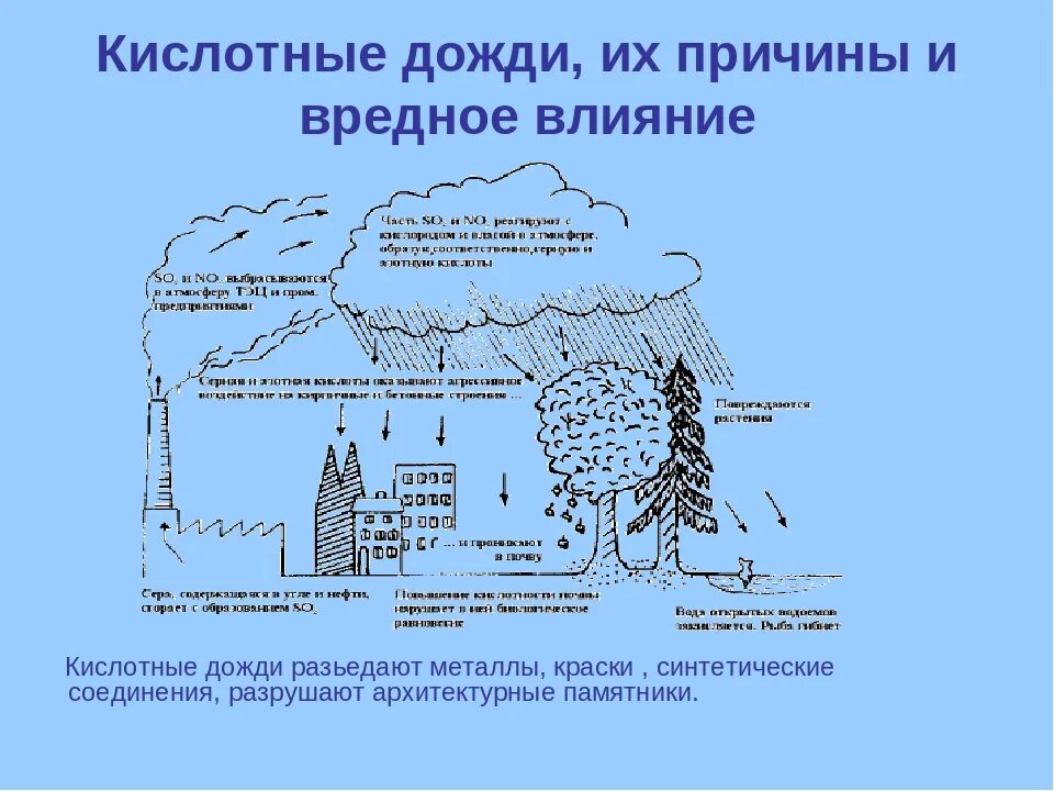 Причины образования осадков. Схема выпадение кислотного дождя. Механизм образования кислотных осадков схема. Схема образования кислотных дождей. Кислотные осадки причины.