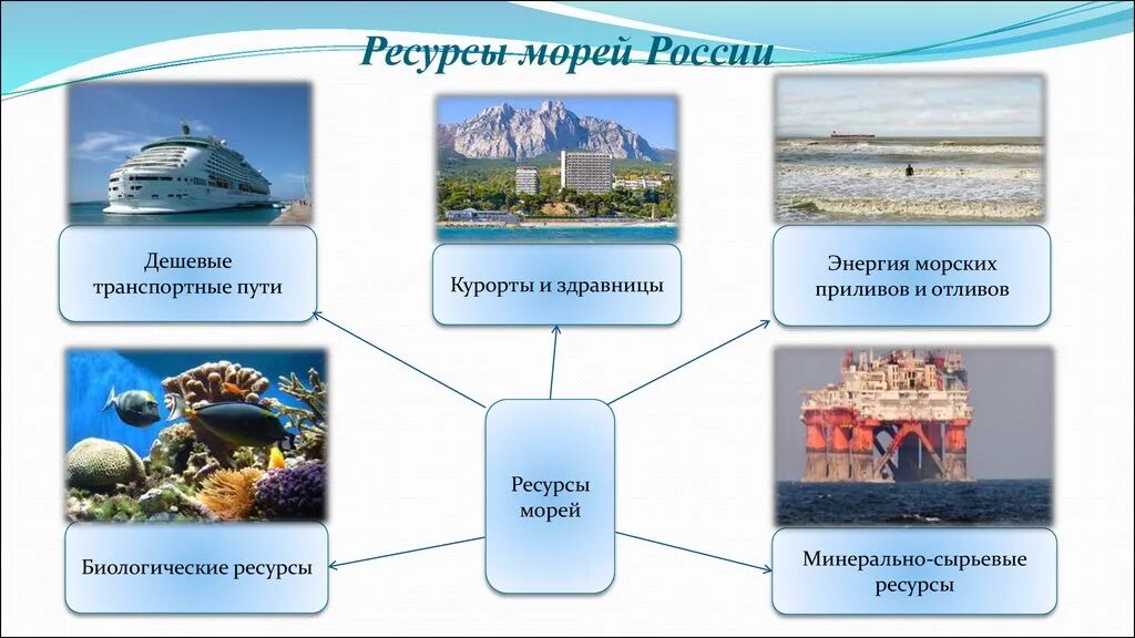 Жизни обеспечивающий ресурс. Ресурсы морей России и их охрана. Ресурсы морей России 8 класс география. Биологические ресурсы морей России на карте. Схема ресурсы морей России.