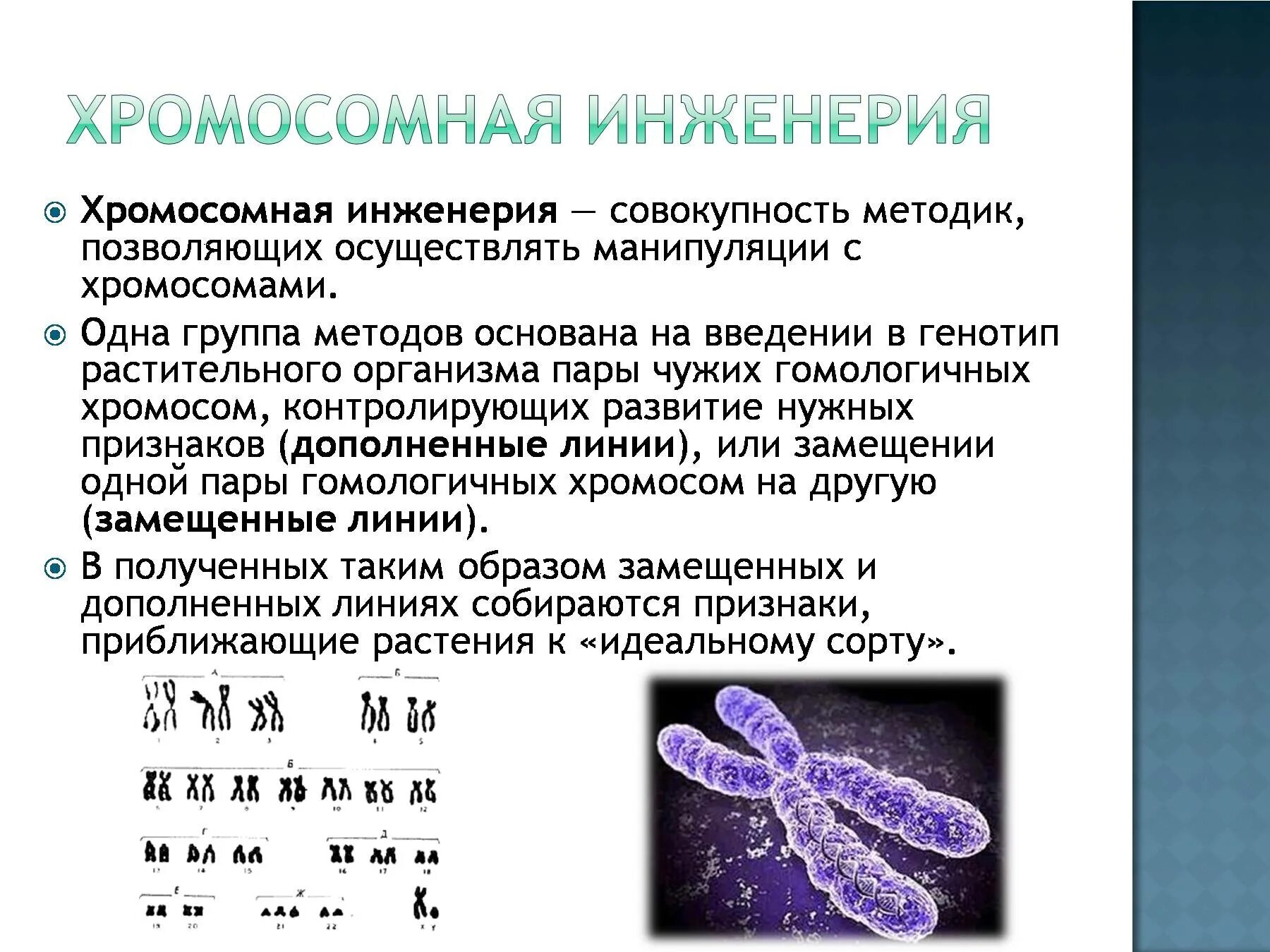 Методы хромосомной инженерии. Хромосомная инженерия презентация. Основные методы хромосомной инженерии. Перечислите основные методы хромосомной инженерии. Изменения первой хромосомы