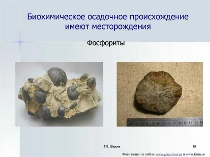 Полезные ископаемые осадочного происхождения название