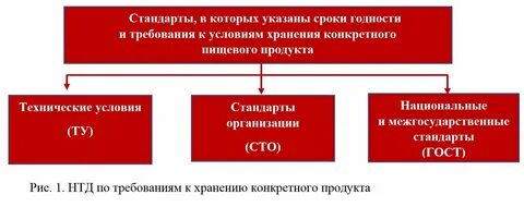 Внутренние организационные нормы