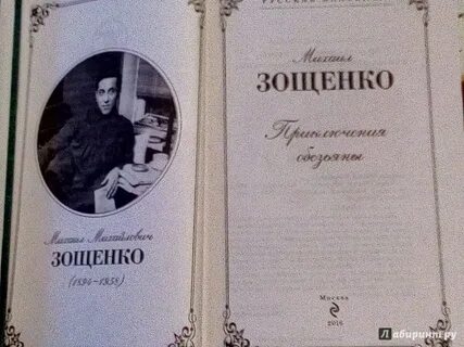 Приключение обезьяны