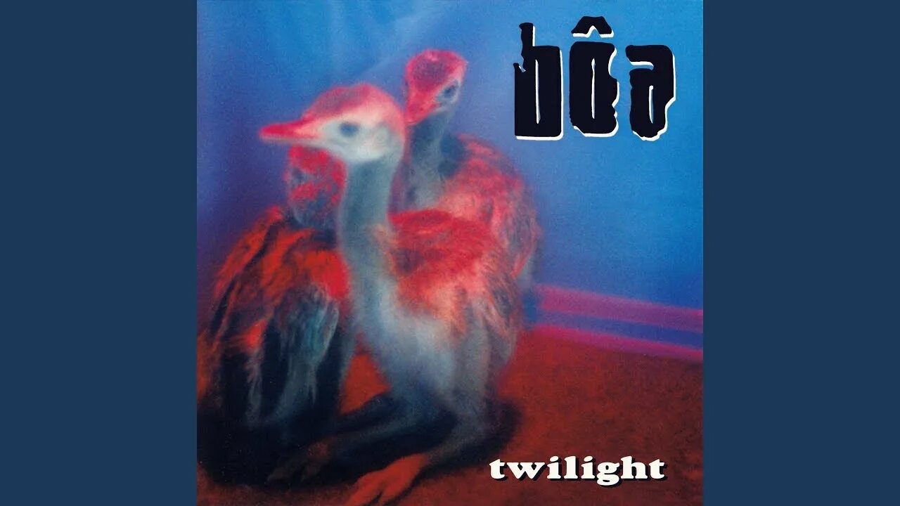 Boa duvet аккорды. Boa duvet. boa twilight. boa duvet tabs. duvet boa перевод.