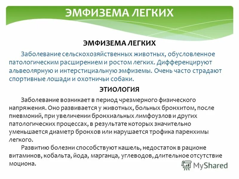 "порочные круги" патогенеза эмфиземы легких. эмфизема легких этиология. для эмфиземы легких характерно. механизм развития подкожной эмфиземы. механизм развития эмфиземы легких.