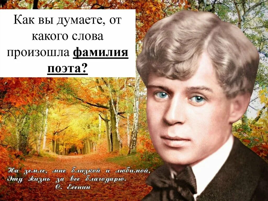 Стихотворение есенина пороша 6 класс. Пороша Есенин. Есенин мелколесье. Есенин мелколесье степь.