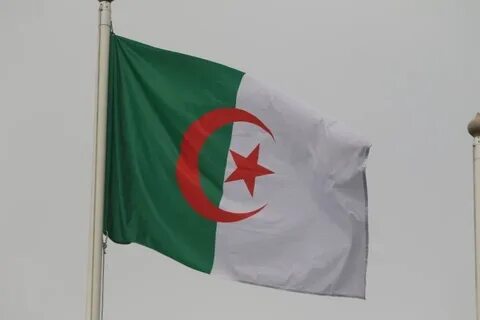 Алжир брикс