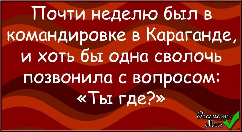 Буду в командировке через неделю. Хорошей командировки картинки. Удачи в командировке картинки. Командировка картинки прикольные. Командировка прикол фото.