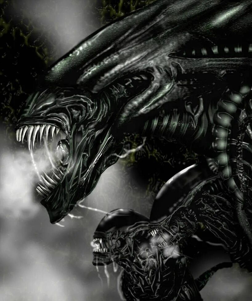 Видео чужой против чужого. Aliens Xenomorph Queen. Преторианец чужой. Королева чужих,Ксеноморф.. Alien 3 Xenomorph.