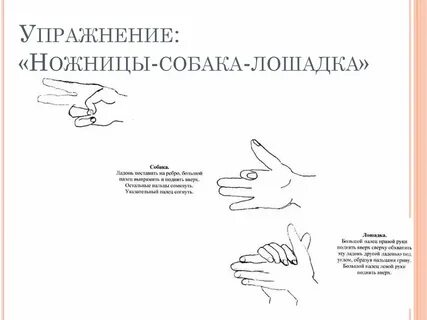 Пальчиковая гимнастика блины