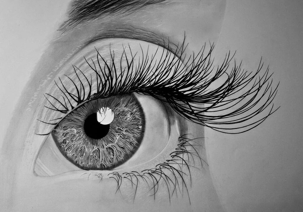Draw a picture of one