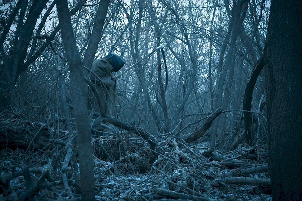 Forest of fear