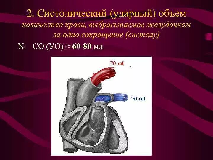 Систола при физических нагрузках