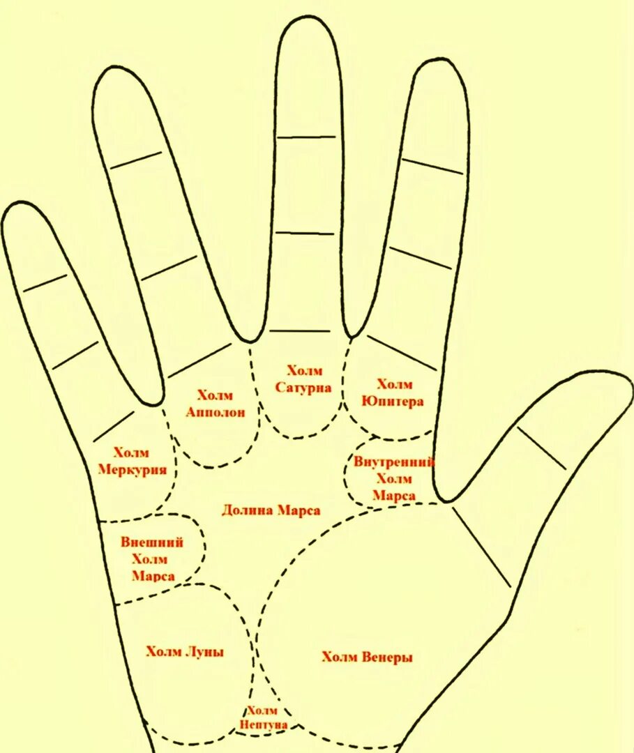 Хиромантия холм Юпитера. Линия Сатурна и Меркурия на ладони. Холм Сатурна хиромантия. Холм Меркурия хиромантия.