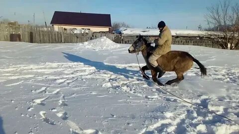 Еду асау
