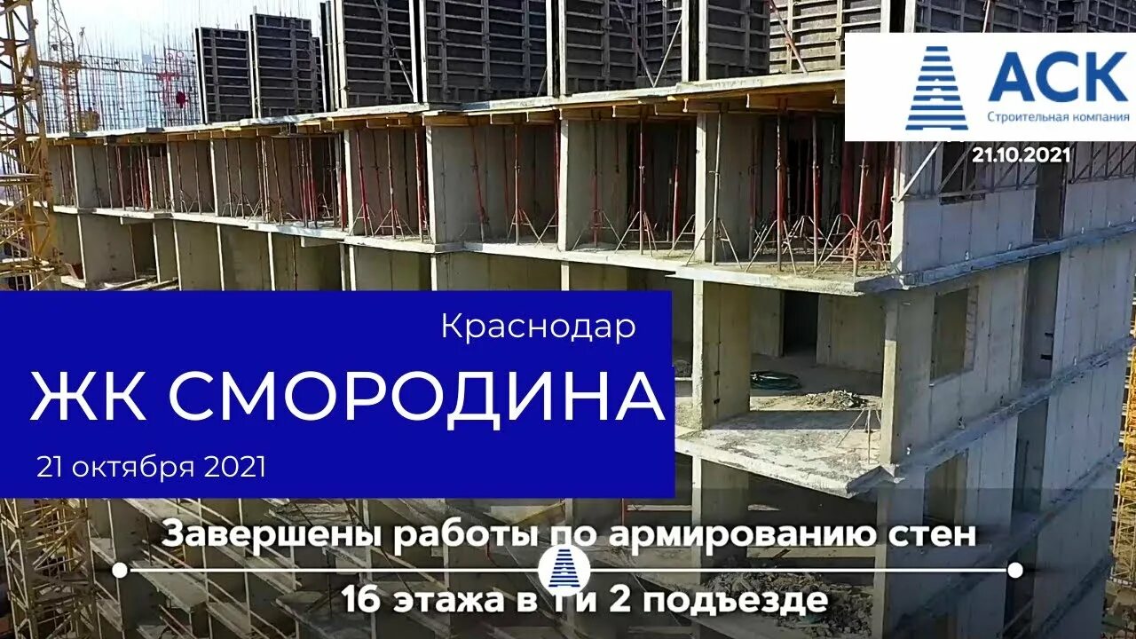 Жк смородина. Смородина краснодар отзывы. Смородина краснодар отзывы. Жк смородина краснодар новознаменский. Жк смородина казань дербышки.