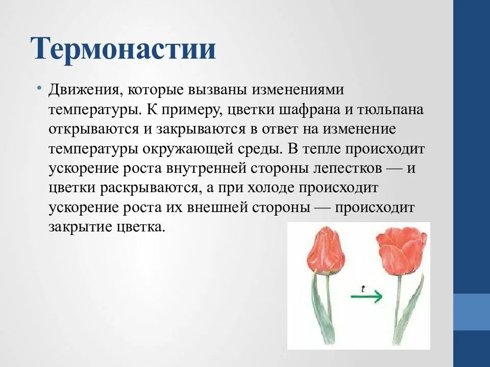 В опыте экспериментатор изменял положение источника света