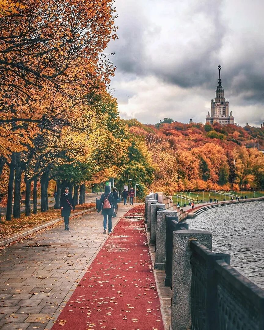 Погулять в москве весной. Осеннее утро Москвы МГУ. Осенняя Москва. Октябрь в Москве. Воробьевы горы осень.