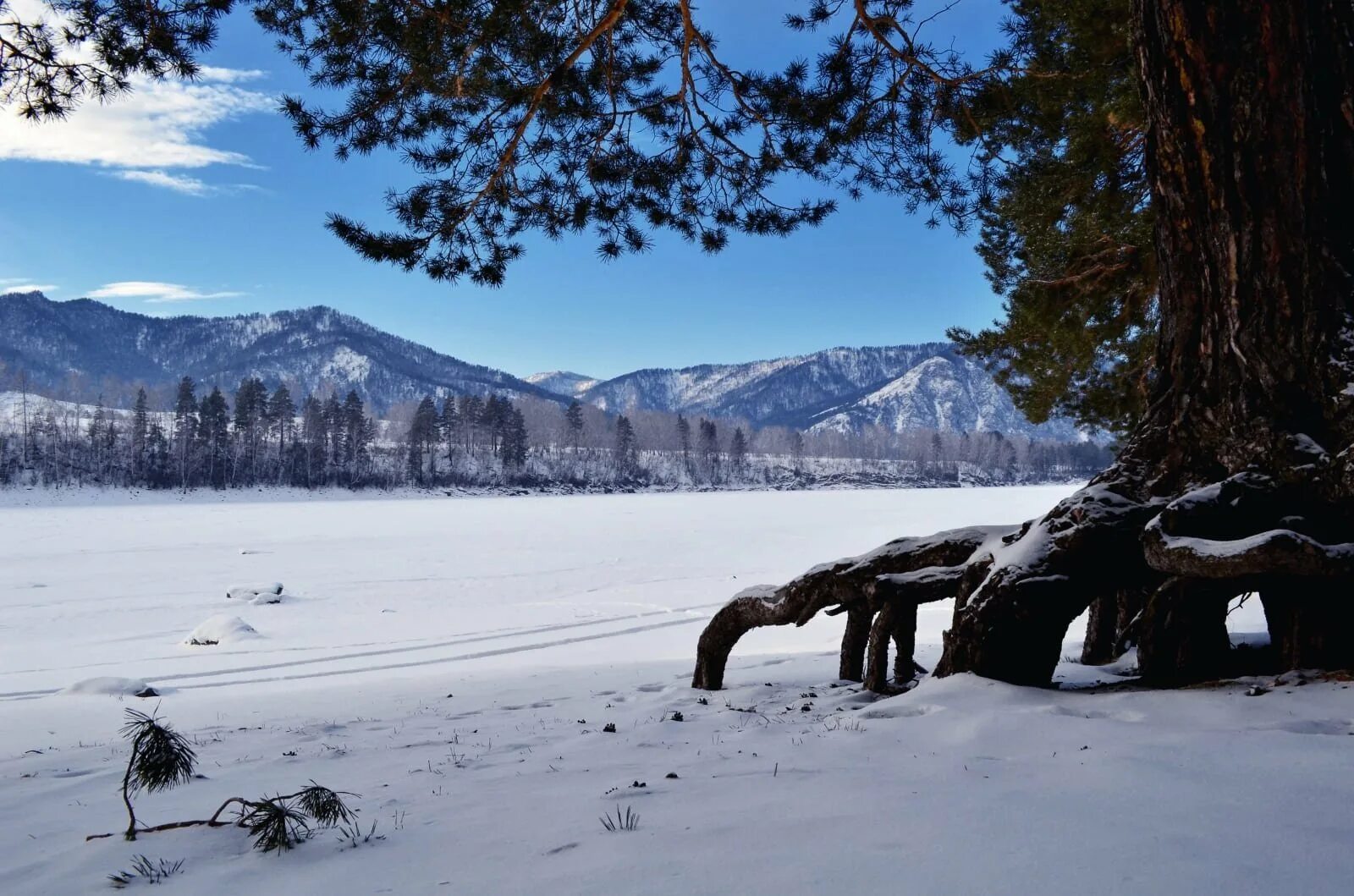 Зимний каракольские озёра. Зима. Горный алтай зима. Горный алтай. Река катунь горный алтай зима.