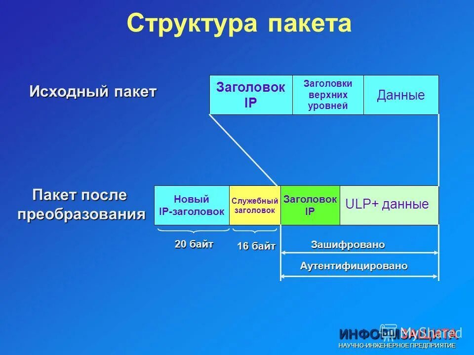 Пакет данных. Заголовок пакета содержит информацию:. Пакет сетевых данных. Пакет передачи данных. Общая структура пакета.